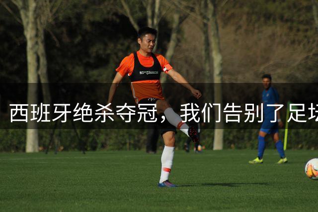 西班牙绝杀夺冠，我们告别了足坛最伟大的20年