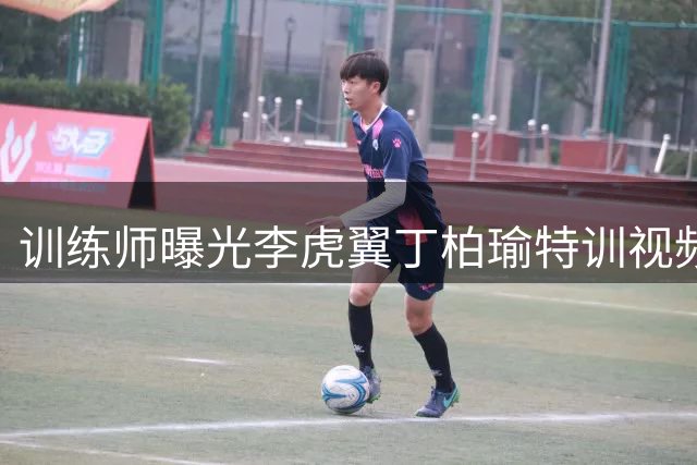 训练师曝光李虎翼丁柏瑜特训视频 展示突破与终结技术细节
