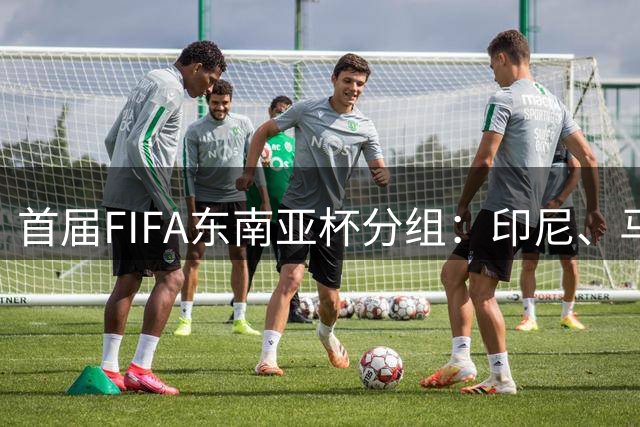 首届FIFA东南亚杯分组：印尼、马来西亚同组，越南、泰国同组