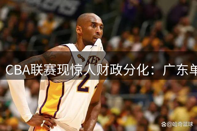 CBA联赛现惊人财政分化：广东单队盈利力压19队总和